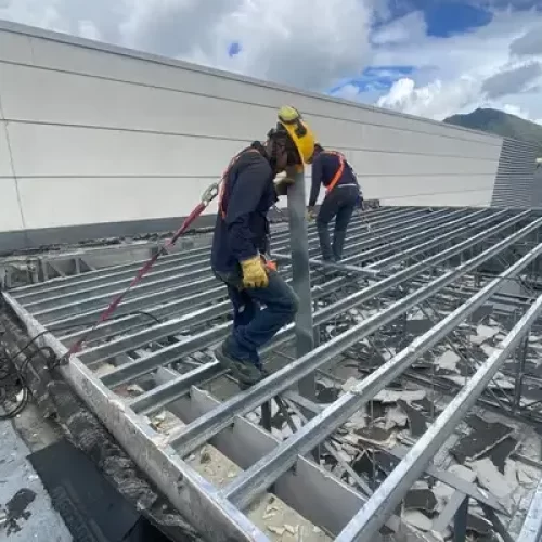 Trabajadores de nuestra empresa